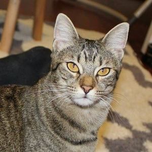 Meet your Posher, Kris